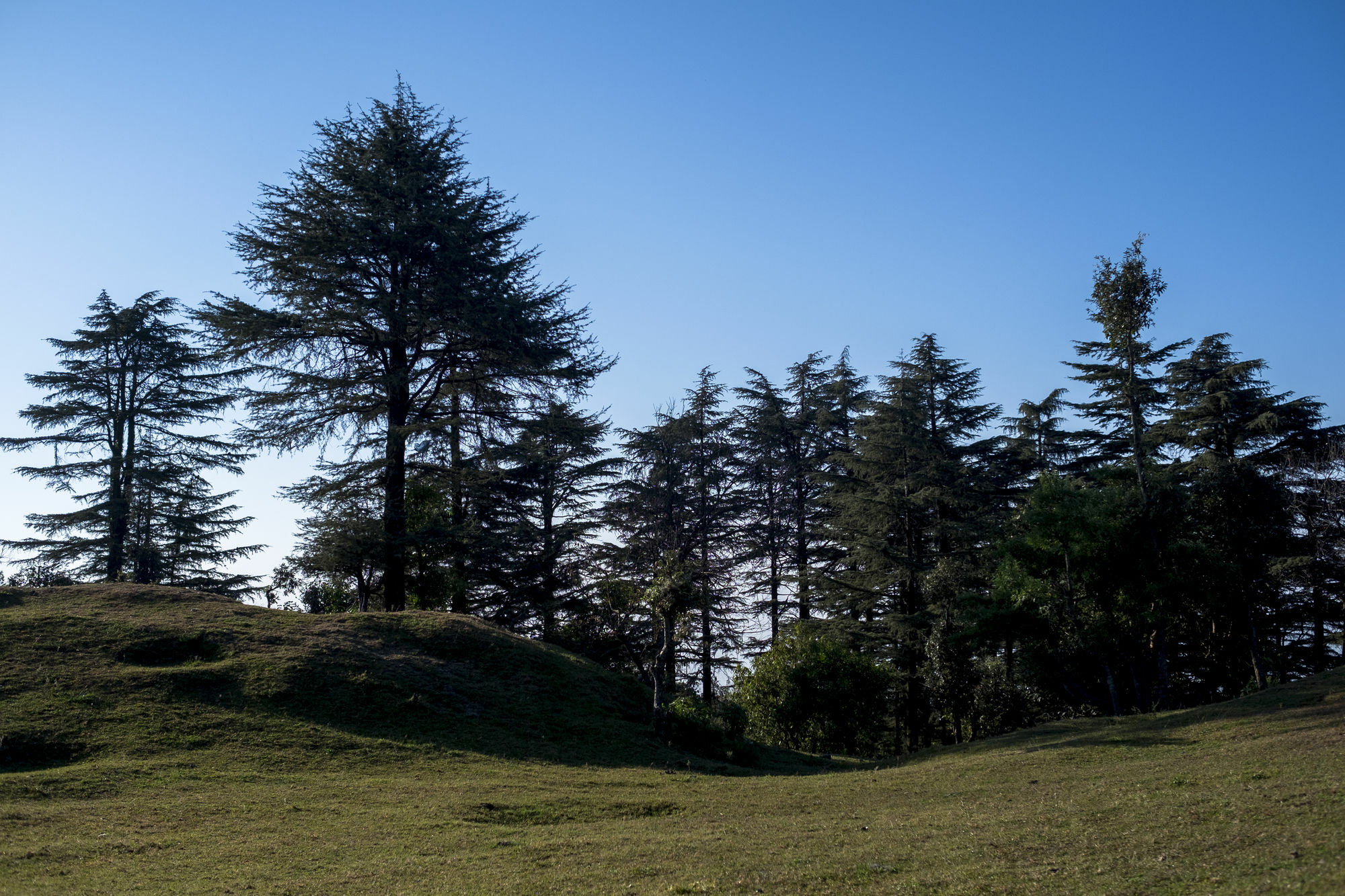Mosaic Hotel Mussoorie Mallroad ภายนอก รูปภาพ